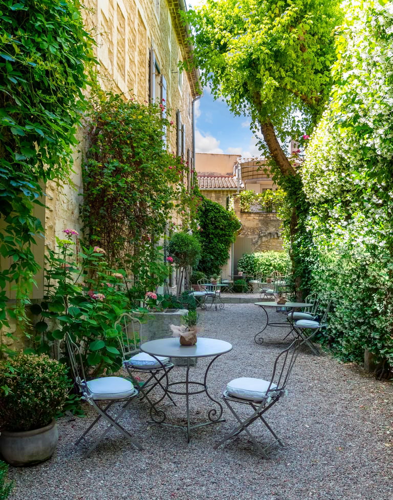 Sándwiches y pizzas